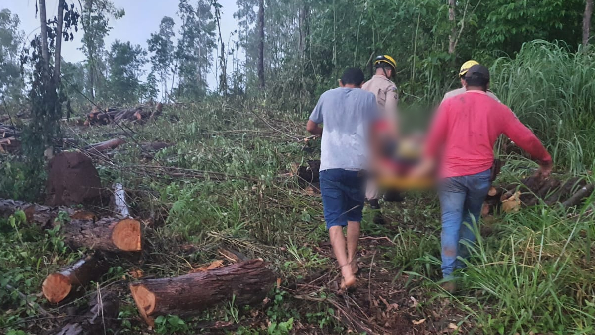 Um trabalhador ficou ferido depois que uma árvore caiu em cima dele, no fim da tarde desta segunda-feira (7). Segundo o Corpo de Bombeiros, a vítima realizava o corte de eucaliptos em uma fazenda, no município de Vila Propício, quando o acidente aconteceu.