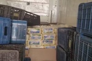 PRF apreende 10 toneladas de queijo irregular na BR-153, em Uruaçu (Foto: PRF)