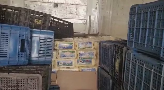 PRF apreende 10 toneladas de queijo irregular na BR-153, em Uruaçu (Foto: PRF)