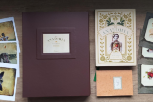 Residência de Literatura em Goiás