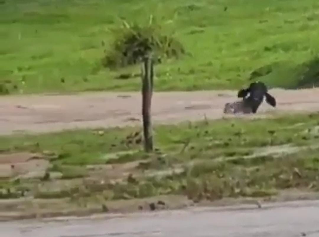 As fortes chuvas ocorridas na manhã de segunda-feira (14) causaram o transbordo do Lago Bonito e alagamento das ruas de Corumbaíba de Goiás. (Foto: reprodução/redes sociais)