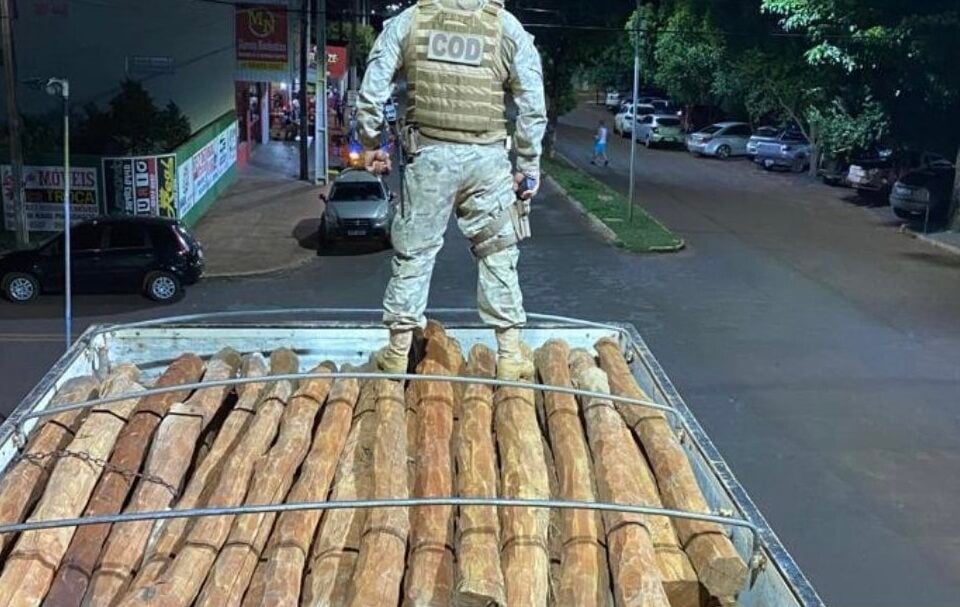Polícia apreende 600 estacas de aroreira em Quirinópolis