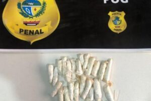 Droga apreendida em Aparecida de Goiânia