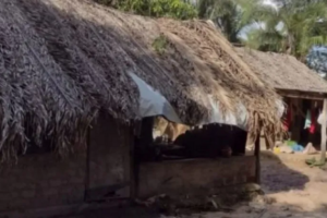 MP-GO vai apurar morte de quatro pessoas em ação policial na Chapada dos Veadeiros