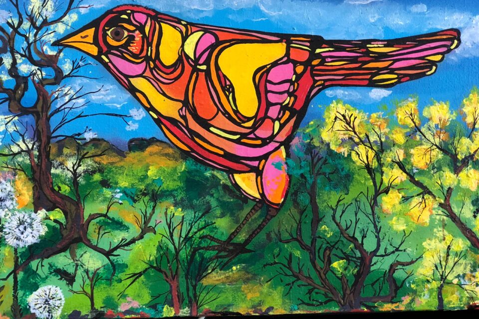 Obra do artista Bulacha, presente na exposição Sensitiva em Goiânia
