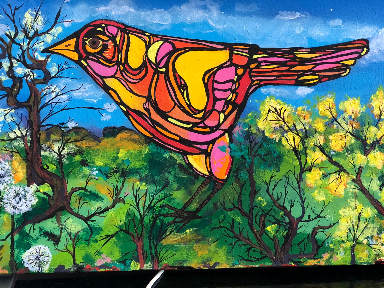 Obra do artista Bulacha, presente na exposição Sensitiva em Goiânia