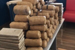 Um goiano que mora em Posse foi preso na terça-feira (22), no Mato Grosso, com 100 kg de supermaconha, avaliados em R$ 2 milhões. (Foto: divulgação)