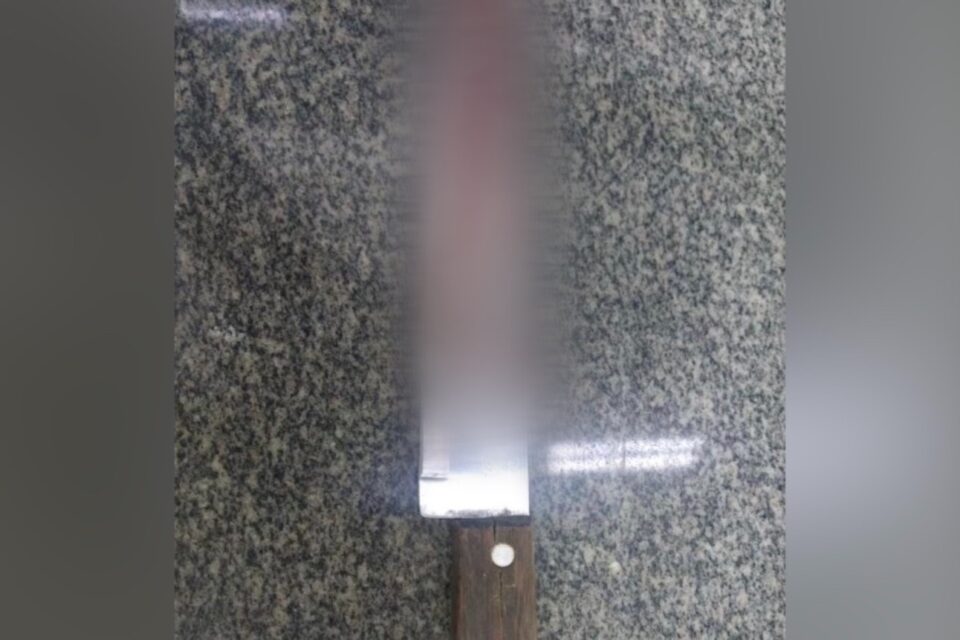 A Polícia Militar (PM) prendeu uma mulher de 25 anos que confessou ter matado o próprio namorado, de 32, esfaqueado, no bairro Parque Amazônia, em Goiânia, no último sábado (26). Segundo os policiais, a mulher foi encontrada ao lado do corpo do homem, com uma faca de cozinha.