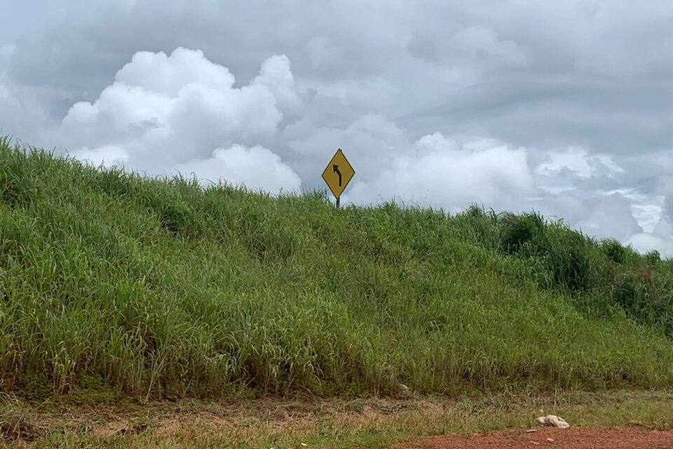 Mato alto toma conta da BR-060 e atrapalha visão de motoristas em alguns trechos