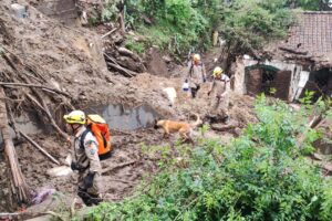 Bombeiros goianos e cães farejadores atuam nas buscas a desaparecidos em Petrópolis