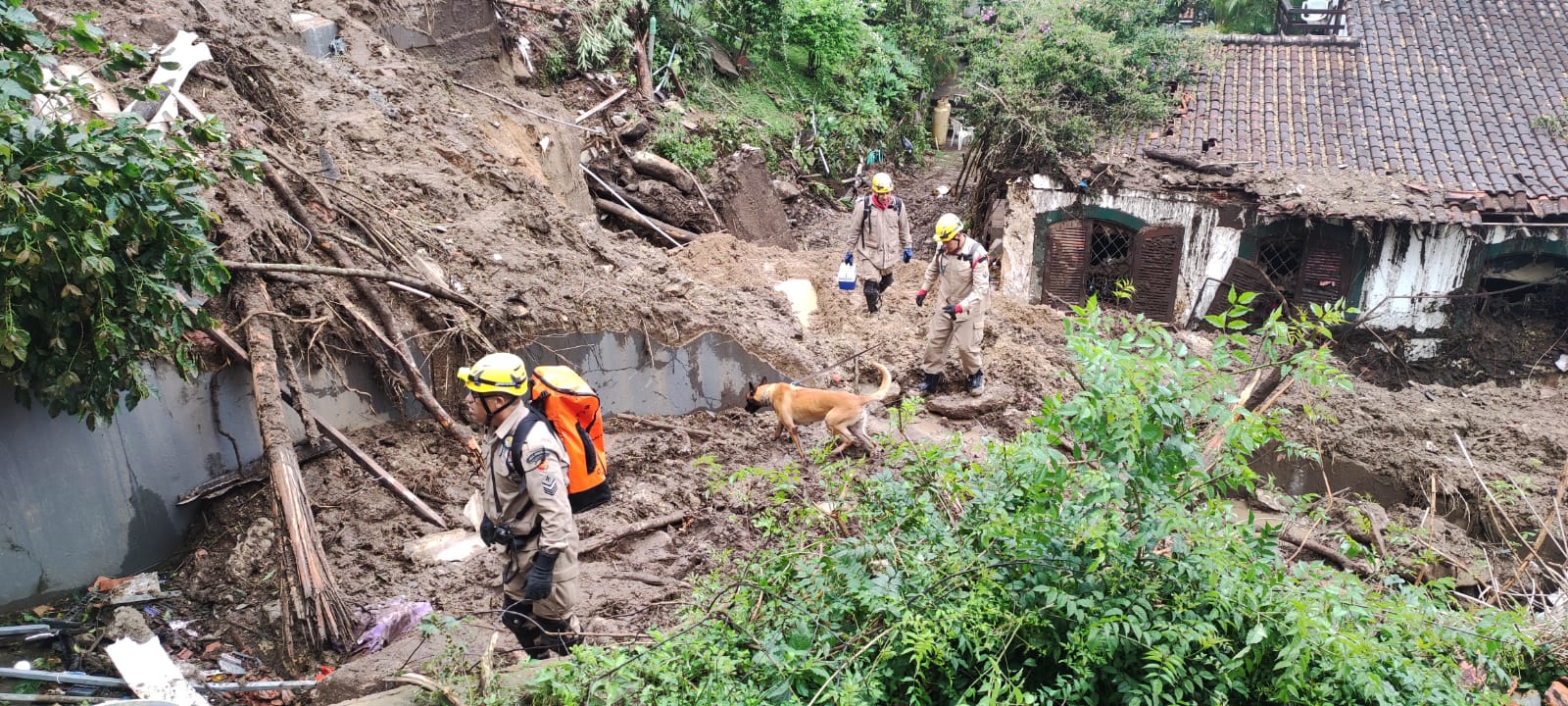 Bombeiros goianos e cães farejadores atuam nas buscas a desaparecidos em Petrópolis