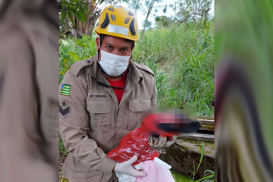 Recém-nascida é abandonada em terreno baldio de Santo Antônio do Descoberto