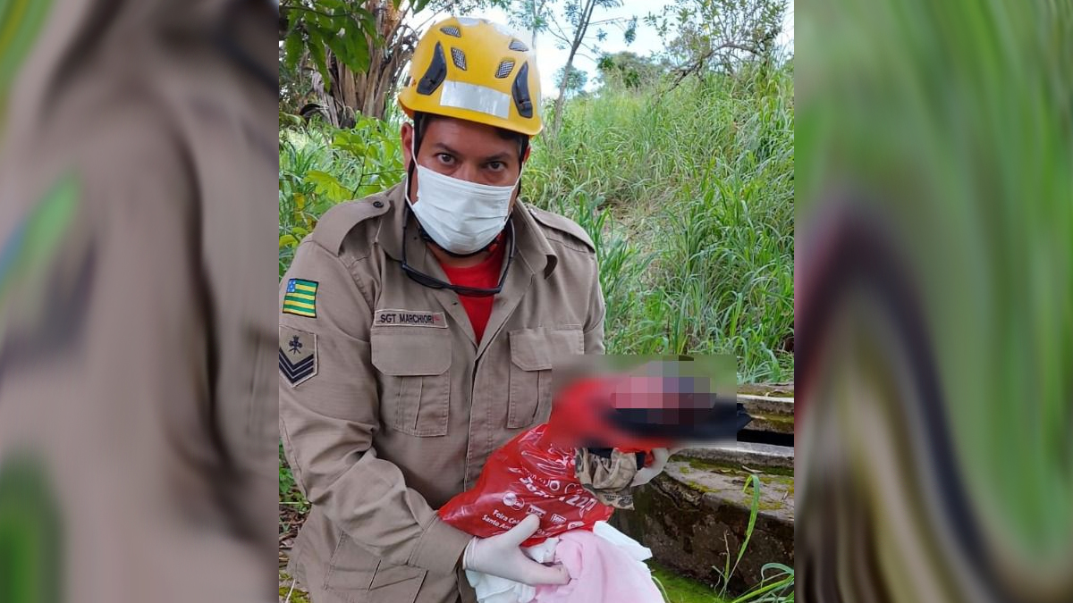 Recém-nascida é abandonada em terreno baldio de Santo Antônio do Descoberto