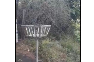 “A sujeira já toma conta até mesmo do asfalto", denuncia moradora que prefere não se identificar. (Foto: Captura Vídeo)