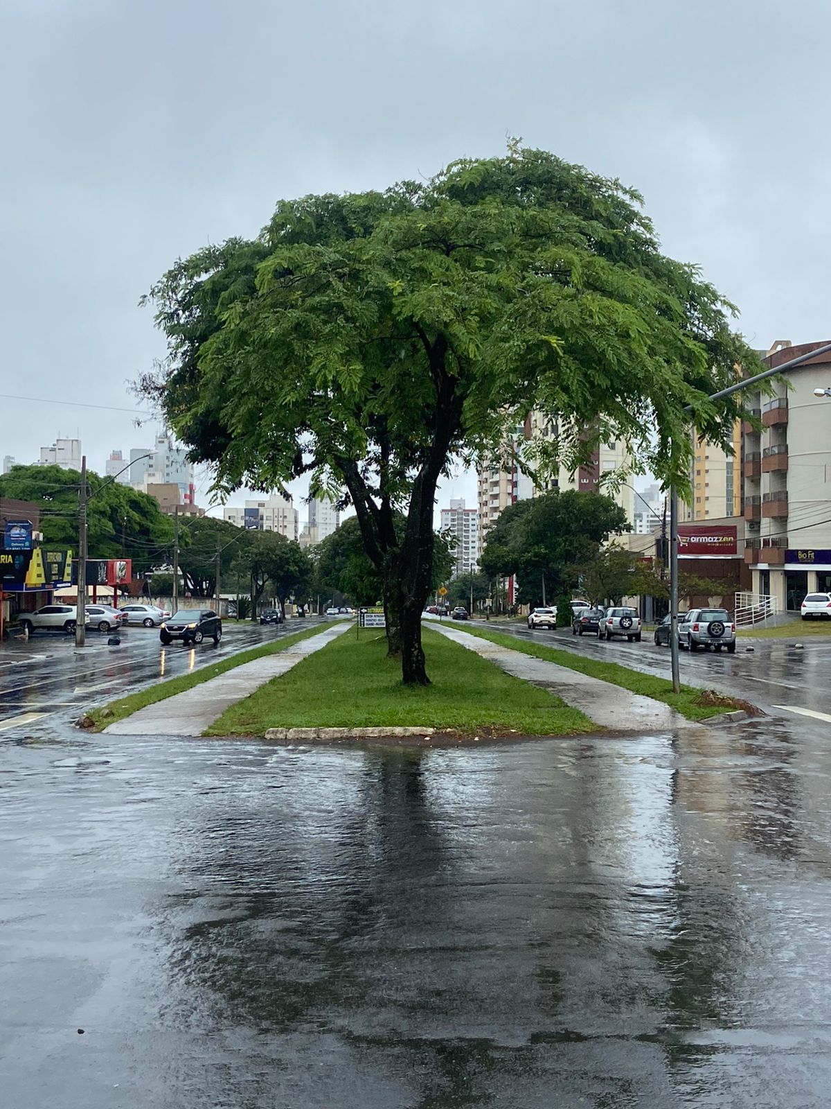 Prefeitura de Goiânia presta homenagem a jovem atropelado na portaria de prédio (Foto: Divulgação)