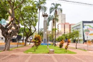 Derrubar Código Tributário pode travar Goiânia, diz vereadora