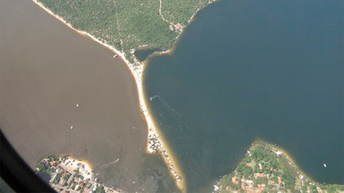 Foto: Reprodução - EcoTelhado