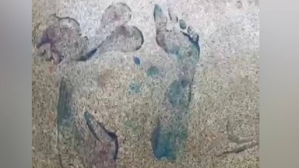 No chão, também haviam pegadas que indicam que o responsável pelo crime estava descalço.  (Foto: Reprodução - Leitor)