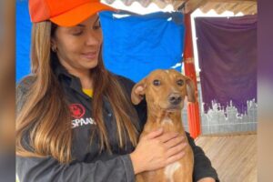 Vereadora do Progressistas comentou sobre a ideia em sessão da Câmara Municipal (Foto: Arquivo Pessoal)
