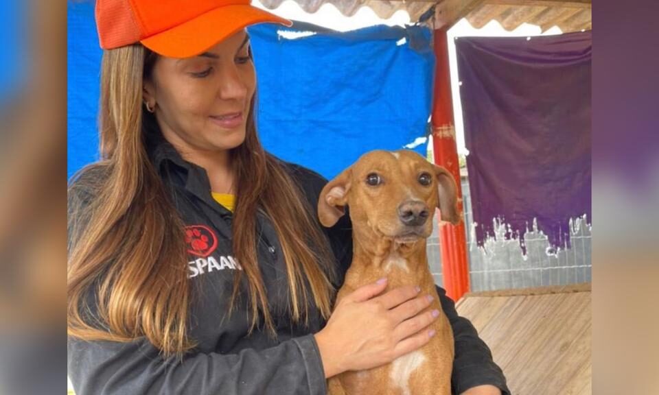 Vereadora do Progressistas comentou sobre a ideia em sessão da Câmara Municipal (Foto: Arquivo Pessoal)