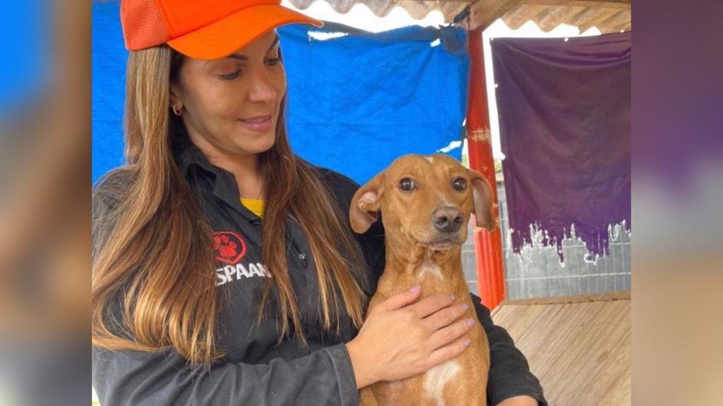 Vereadora do Progressistas comentou sobre a ideia em sessão da Câmara Municipal (Foto: Arquivo Pessoal)