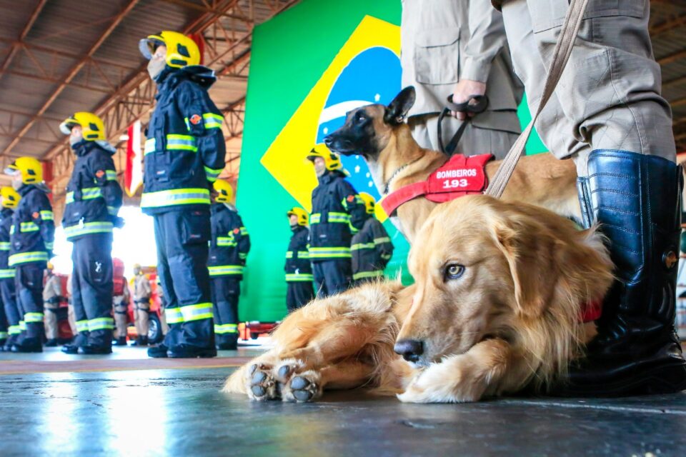 Bombeiros goianos são enviados para auxiliar nas buscas e salvamentos em Petrópolis