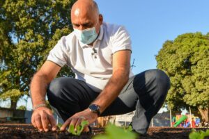 Prefeitura de Goiânia inicia plantio de mais 60 mil mudas em canteiros de ruas e praças (Foto: Prefeitura de Goiânia)