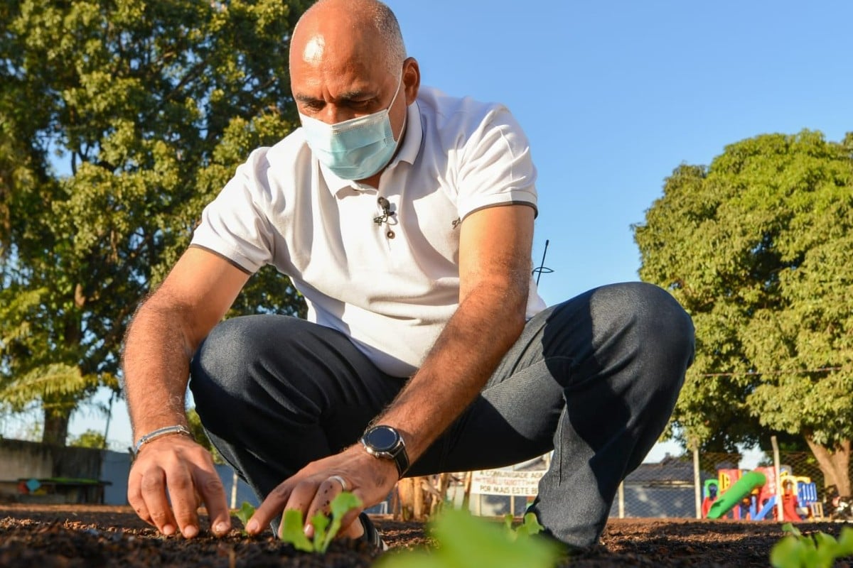 Prefeitura de Goiânia inicia plantio de mais 60 mil mudas em canteiros de ruas e praças (Foto: Prefeitura de Goiânia)