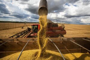 Puxado pelo agro, PIB de Goiás deve crescer acima da média do Brasil entre 2020 e 2022