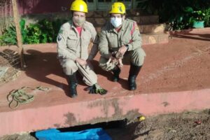 Bombeiros resgatam filhote de cachorro que caiu dentro de bueiro em Quirinópolis (GO)