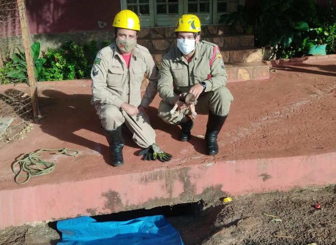 Bombeiros resgatam filhote de cachorro que caiu dentro de bueiro em Quirinópolis (GO)