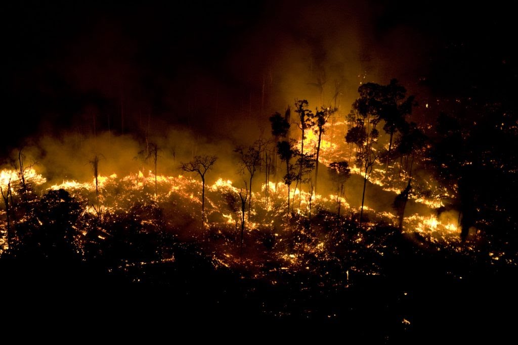 Queimadas na Floresta Amazônica no Estado do Pará (Foto: Daniel Beltra/Greenpeace/2016)
