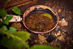 Residências com focos do mosquito da dengue podem ser multadas em até R$26 mil em Goiânia