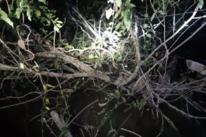 Corpo é encontrado por pescador em estado de decomposição no Rio Piancó, em Abadiânia-GO