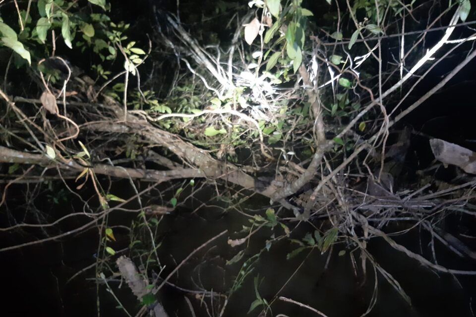 Corpo é encontrado por pescador em estado de decomposição no Rio Piancó, em Abadiânia-GO