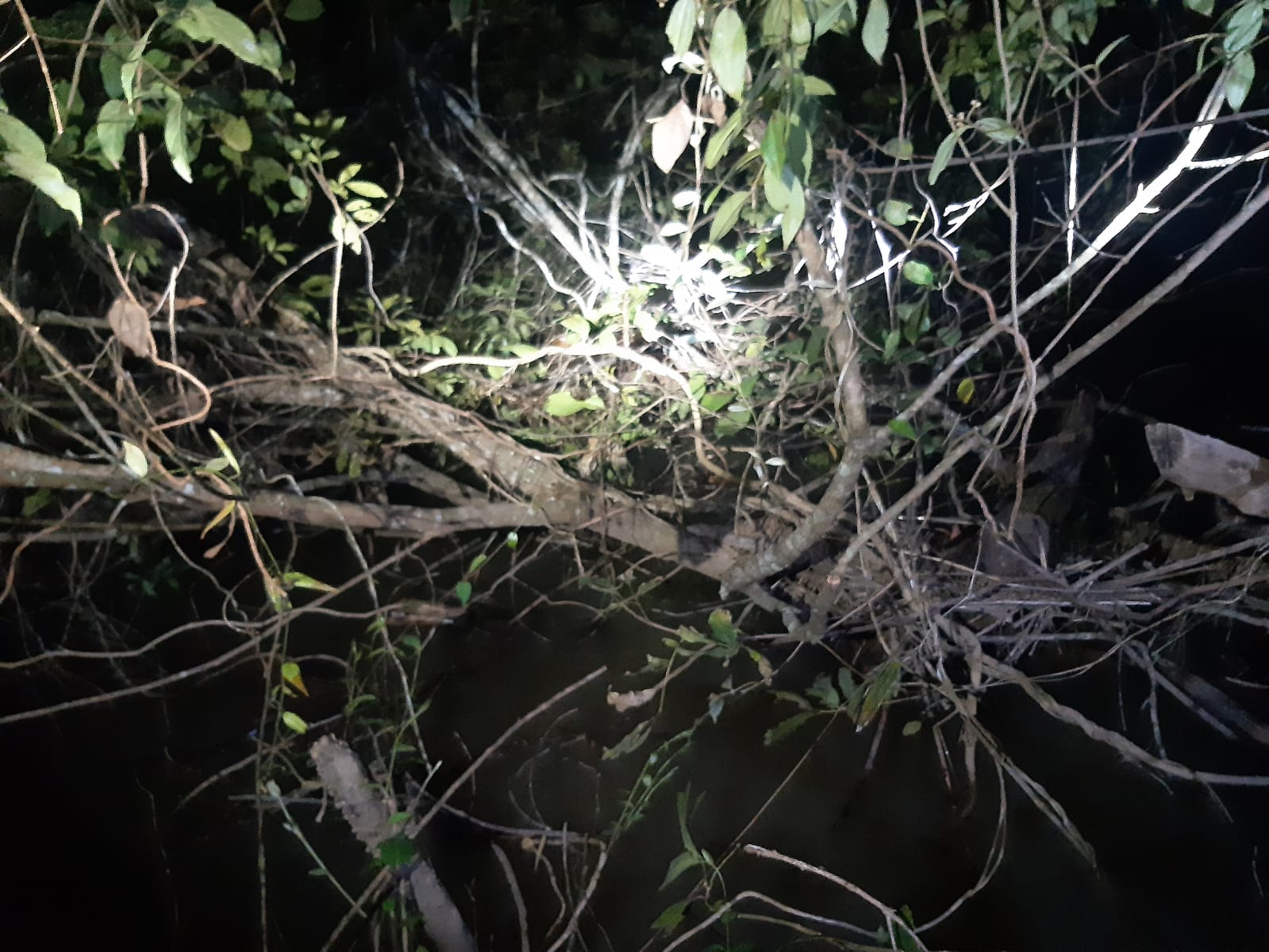 Corpo é encontrado por pescador em estado de decomposição no Rio Piancó, em Abadiânia-GO