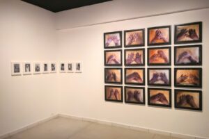 MAPA realiza sua última mostra da Temporada de Exposições Foto: Reprodução