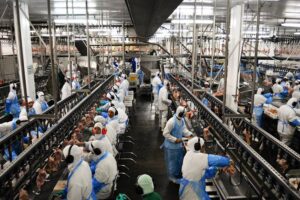 Justiça determina que frigoríficos do sudoeste goiano mantenham regras para prevenção da Covid