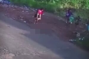 Presa suspeita de matar gato com pedrada diante de crianças em Nerópolis (GO)