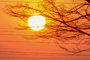 Previsão do Tempo: Segunda-feira será de sol com pancadas de chuva em Goiás