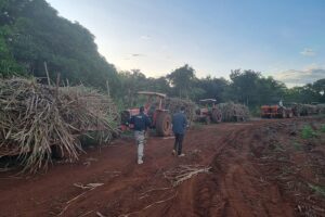 Trabalhadores são resgatados em trabalho análogo à escravidão em fazenda de Quirinópolis (GO)
