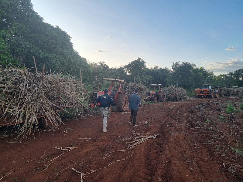 Trabalhadores são resgatados em trabalho análogo à escravidão em fazenda de Quirinópolis (GO)