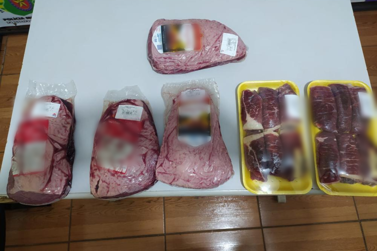 Prejuízo provocado pelo furto teria sido de R$ 544, caso a mulher não tivesse sido detida (Foto: Divulgação - PM)