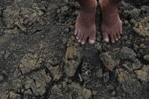 Governo reconhece situação de emergência em 38 cidades