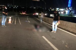 Idoso cai da garupa de moto e morre atropelado por caminhão na BR-153, em Goiânia