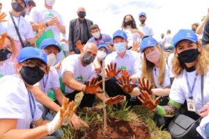 Prefeitura de Goiânia revitaliza 23 parques e planta mais de 92 mil mudas em 15 meses (Foto: Prefeitura de Goiânia)