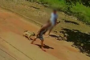 Idosa flagrada ao jogar cachorro no chão é preso por maus-tratos contra outro cão em Santo Antônio do Descoberto (GO)