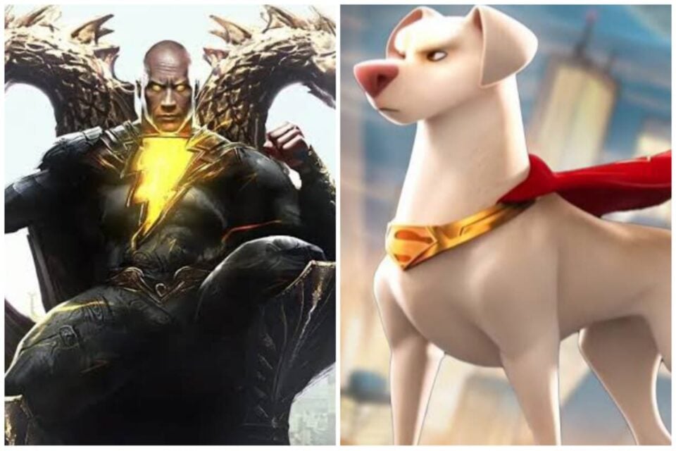 Adao Negro DC Superpets