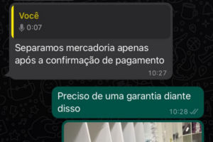 “Só separamos a mercadoria, após o pagamento”, respondeu o contato da loja. (Foto: Reprodução)