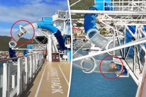 Mulher fica presa em tobogã suspenso sobre o oceano durante cruzeiro (Foto: reprodução/NY Post)